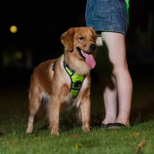 Nexgera™ LED Dog Harness