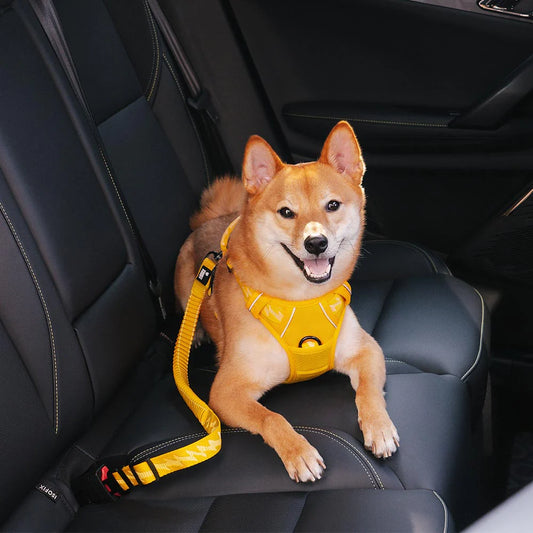 Nexgera™ Car Seat Bealt For Dogs