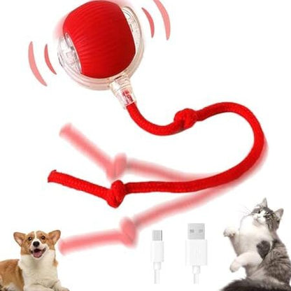 Nexgera™ Interactive Rolling Ball