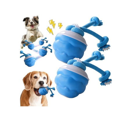 Nexgera™ Interactive Smart Rolling Ball