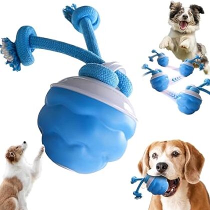 Nexgera™ Interactive Smart Rolling Ball