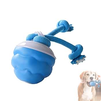 Nexgera™ Interactive Smart Rolling Ball