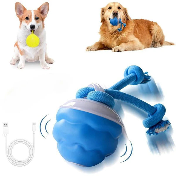 Nexgera™ Interactive Smart Rolling Ball